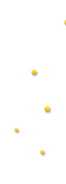 estrellas
