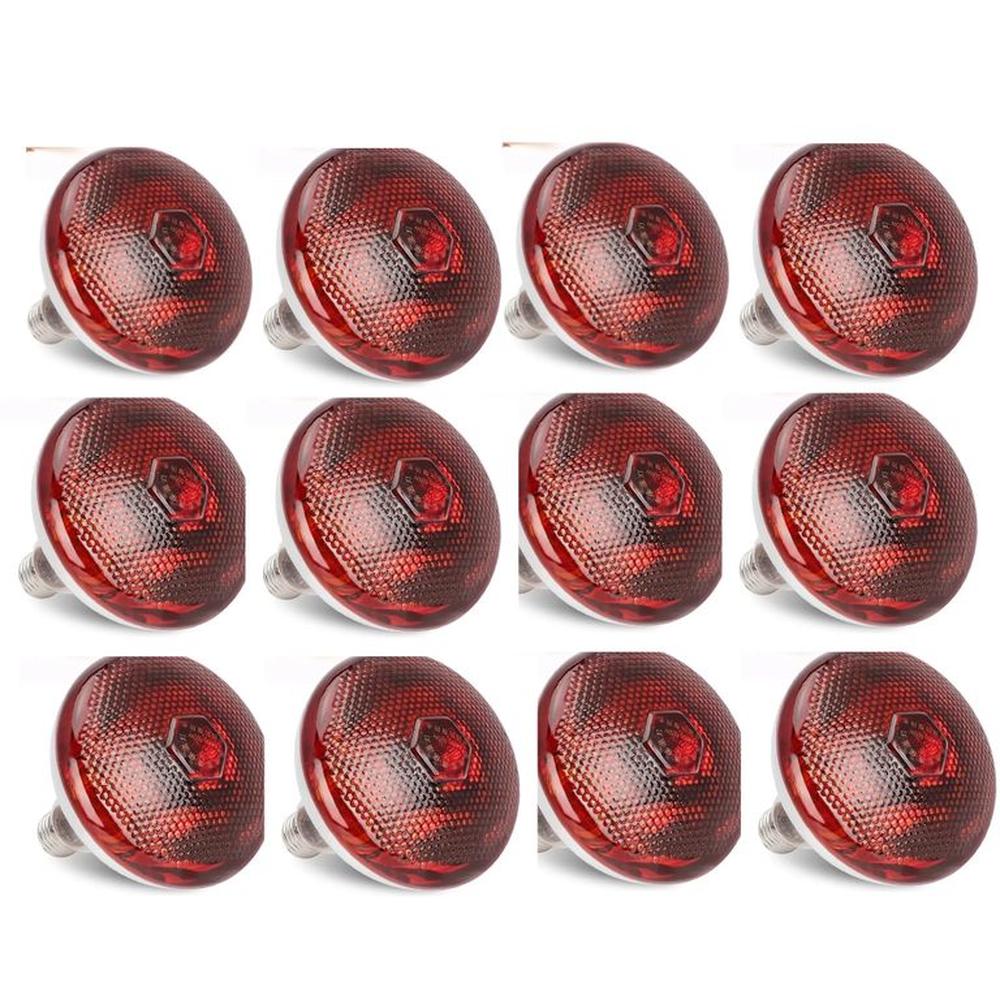 FOCO INFRARROJO CALEFACCIÓN PARA CERDOS PERROS POLLOS 250W PACK X12 FOCO INFRARROJO CALEFACCIÓN PARA CERDOS PERROS POLLOS 250W PACK X12