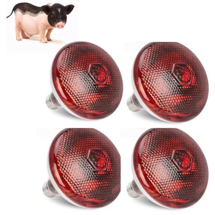 FOCO INFRARROJO CALEFACCIÓN PARA CERDOS PERROS POLLOS 175W PACK X4 FOCO INFRARROJO CALEFACCIÓN PARA CERDOS PERROS POLLOS 175W PACK X4