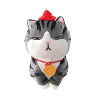 AÑO N CHINO - Peluche gato de la buena suerte 20cm