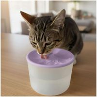 Bebedero con Fuente de Agua Eléctrico para Mascotas Gato Perro Morado