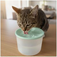 Bebedero con Fuente de Agua Eléctrico para Mascotas Gato Perro Verde agua
