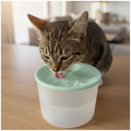 imageUrl_1 imageUrl_1