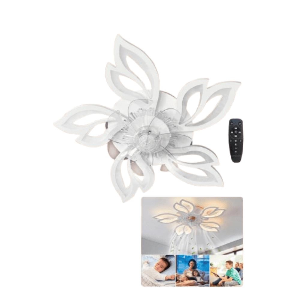 imageUrl_1 imageUrl_1