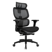 Silla Ergonómica Sam Presidente Nylon Negro Ofideas