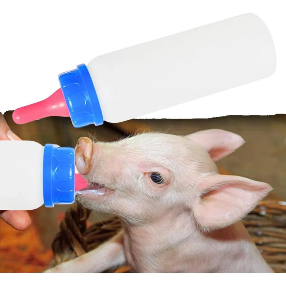 BIBERON BOTELLA 250ML LECHON CORDERO CACHORRO AZUL BIBERON BOTELLA 250ML LECHON CORDERO CACHORRO AZUL