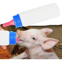 BIBERON BOTELLA 250ML LECHON CORDERO CACHORRO AZUL