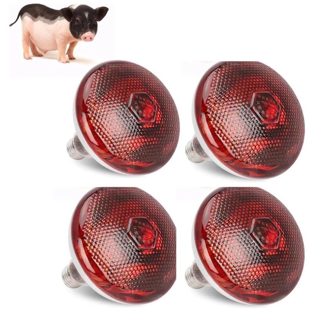 Foco Infrarrojo Calefacción Para Cerdos Perros Pollos 100w Pack X4