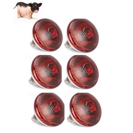 Foco Infrarrojo Calefacción Para Cerdos Perros Pollos 100w Pack X6 Foco Infrarrojo Calefacción Para Cerdos Perros Pollos 100w Pack X6