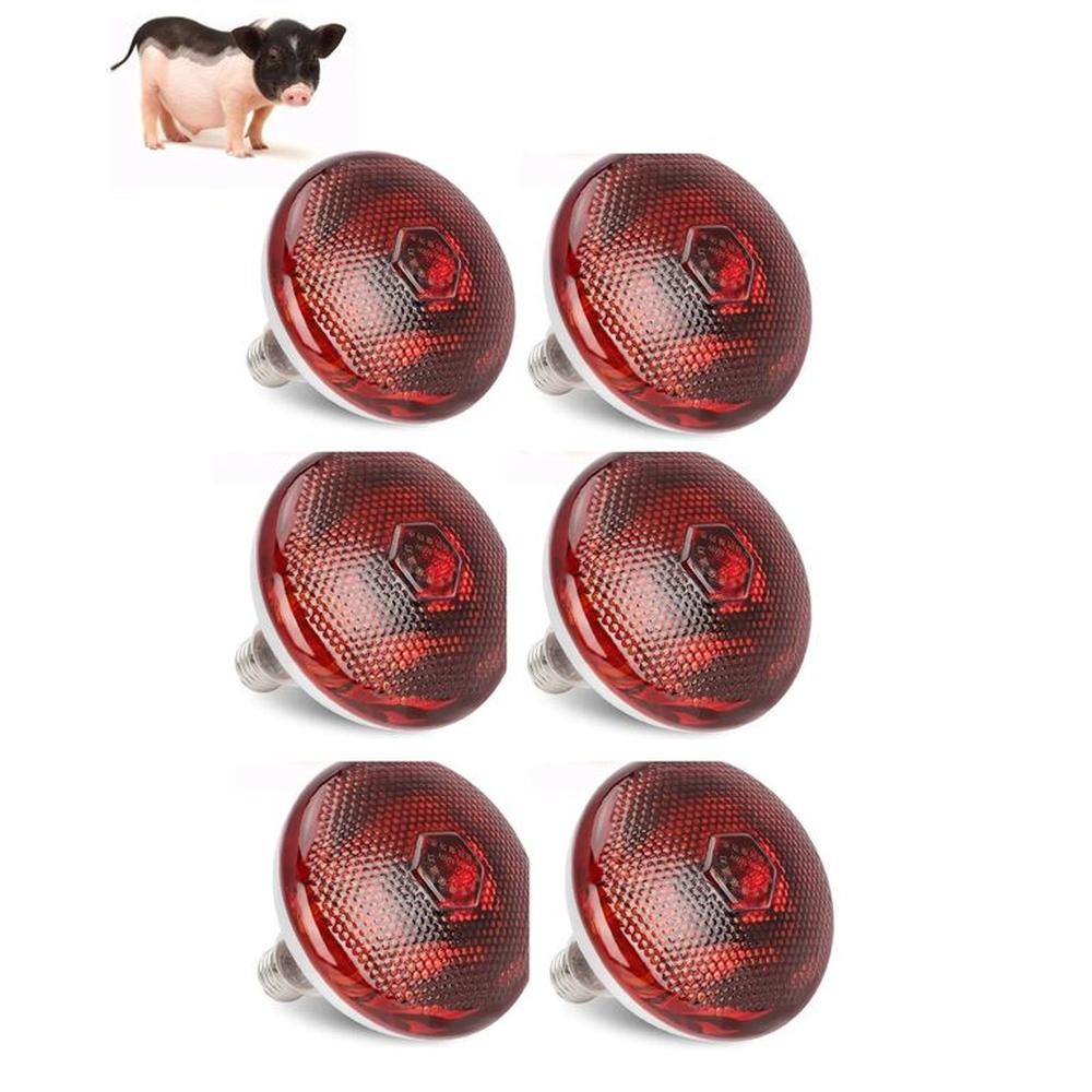 Foco Infrarrojo Calefacción Para Cerdos Perros Pollos 100w Pack X6