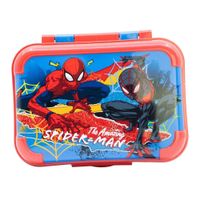 Taper Escolar Spiderman 17x 13x 6 cm