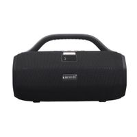Parlante Potente Lidimi LD-S011AC 50W