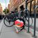 imageUrl_6