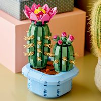 LEGO 11509 Cactus en Flor