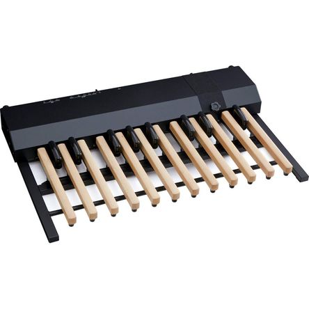 Hammond XPK-200GL Pedalera MIDI de 20 Notas con Sonidos Integrados y Diseño de 