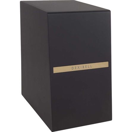 Dexibell DX SUBL3 Subwoofer Potenciado Doble de 6.5