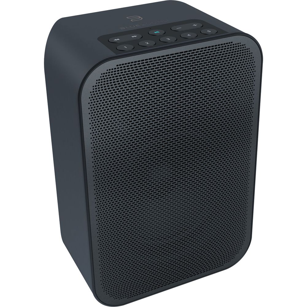 Altavoz Inalámbrico Bluesound Pulse Flex 2I Acabado Negro Mate 1606928-REG Altavoz Inalámbrico Bluesound Pulse Flex 2I Acabado Negro Mate 1606928-REG
