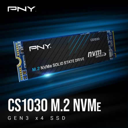 Ssd Pny Cs1030 2Tb M.2 Nvme 1614791-REG