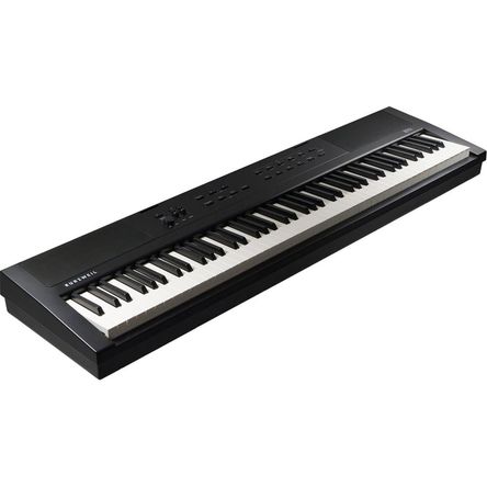 Kurzweil KaE1 Portable Digital Piano (Black) 1834628-REG