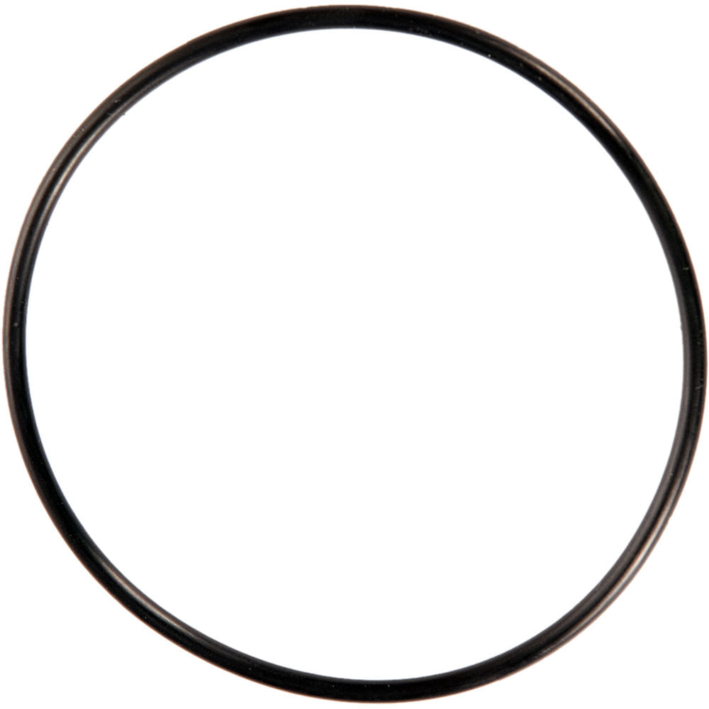 Anillo O-Ring de Reemplazo Ikelite para Conectores de Estroboscopio Sea & Sea o Inon 1175205-REG Anillo O-Ring de Reemplazo Ikelite para Conectores de Estroboscopio Sea & Sea o Inon 1175205-REG