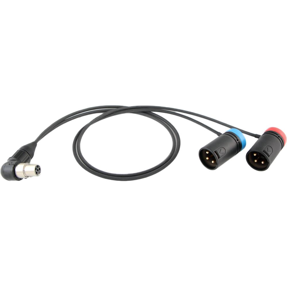 Cable Techniques CT-LP-SR5P-RR-24 Cable Y de Bajo Perfil para Receptores Lectrosonics SRc5P/SRb5P (2 1391394-REG Cable Techniques CT-LP-SR5P-RR-24 Cable Y de Bajo Perfil para Receptores Lectrosonics SRc5P/SRb5P (2 1391394-REG