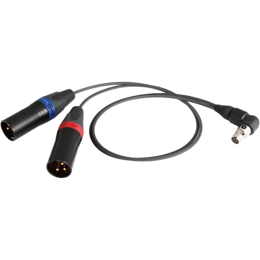 Cable Techniques CT-LP-SR5P-RS-24 Cable Y de Bajo Perfil para Receptores Lectrosonics SRc5P/SRb5P (2 1391397-REG Cable Techniques CT-LP-SR5P-RS-24 Cable Y de Bajo Perfil para Receptores Lectrosonics SRc5P/SRb5P (2 1391397-REG