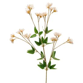 image-7c97a1dd15814220a9b7076fab3972d9