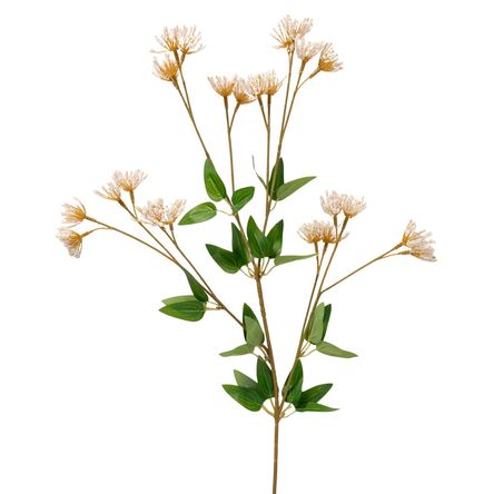 image-7c97a1dd15814220a9b7076fab3972d9 image-7c97a1dd15814220a9b7076fab3972d9