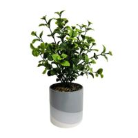 Planta Artificial con Maceta Cerámica Gris Orange