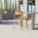 imageUrl_6