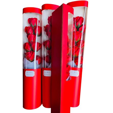 imageUrl_1 imageUrl_1