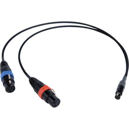 Remote Audio 2 XLR3F a TA5F Desglose Estéreo Balanceado - 18 Remote Audio 2 XLR3F a TA5F Desglose Estéreo Balanceado - 18