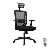 Silla Ergonómica Delphi II Presidente Syncro Brazos 3D Nylon Negro Althea Confort