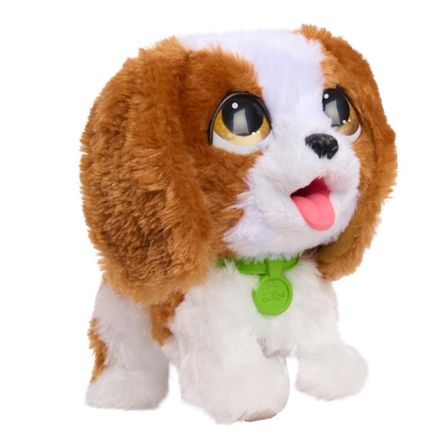 image-47e818bf8281409dbe57b1589db37e62