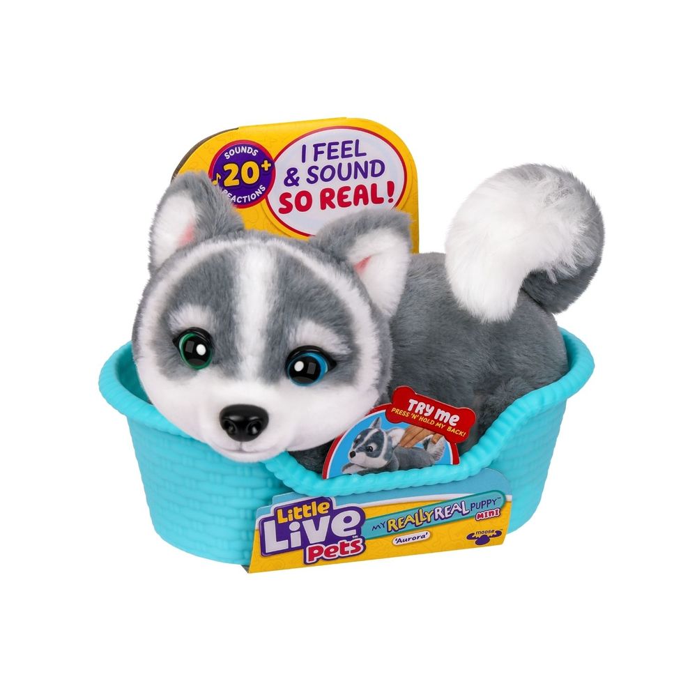 image-ec2ad1c9396b409096d6de720e6cce97 image-ec2ad1c9396b409096d6de720e6cce97