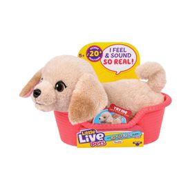 image-0279734a95b2471d9f47a80388ab927d