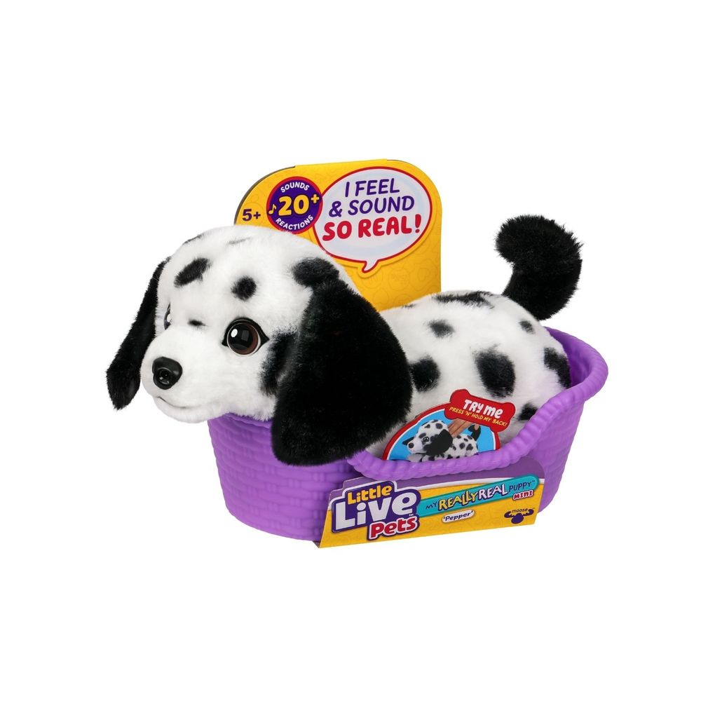 image-b1a2ff5f1a364eae92fd0cfb423ce296 image-b1a2ff5f1a364eae92fd0cfb423ce296