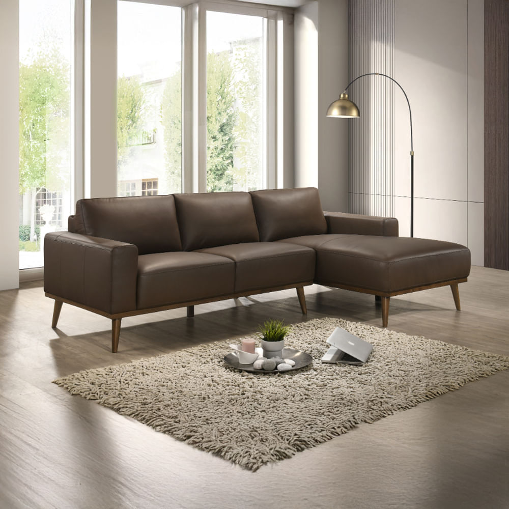 Seccional Florencia Derecho Cuero