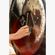 imageUrl_2