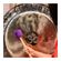 imageUrl_4
