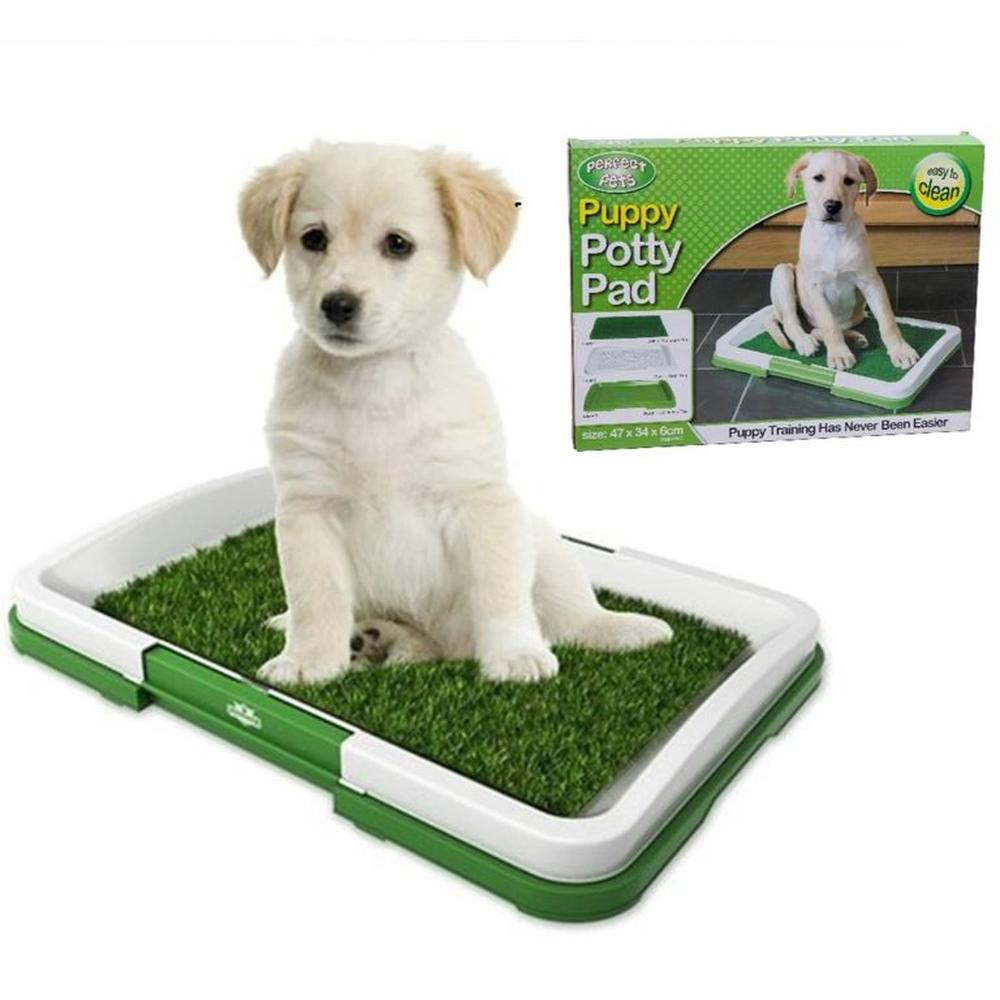 Inodoro Portátil Entrenamiento Perros Césped Artif  Genieka