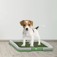 Toilet Portátil Entrenamiento Perros Gatos Mascotasl Genieka