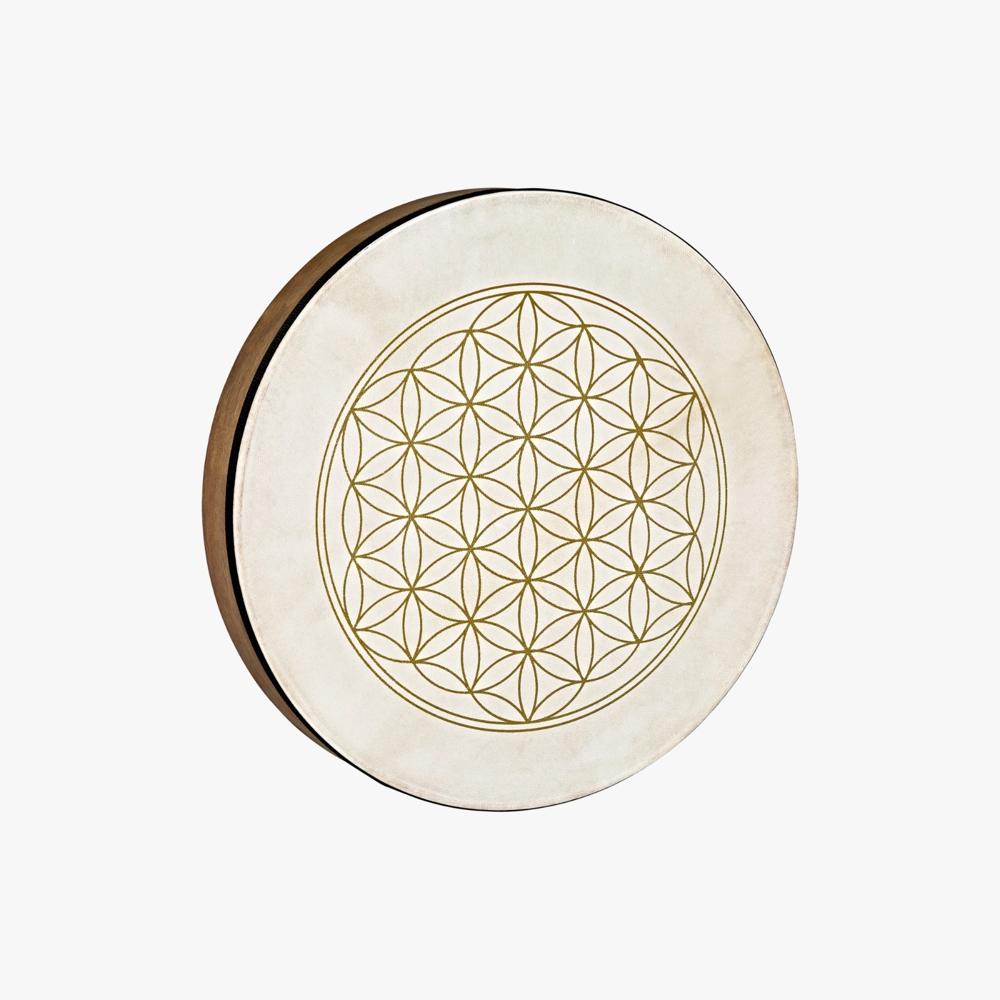 imageUrl_1 imageUrl_1