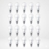 Pack 20 Focos LED 15W Luz Blanca Philips EcoHome E27 6500K