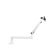 imageUrl_2