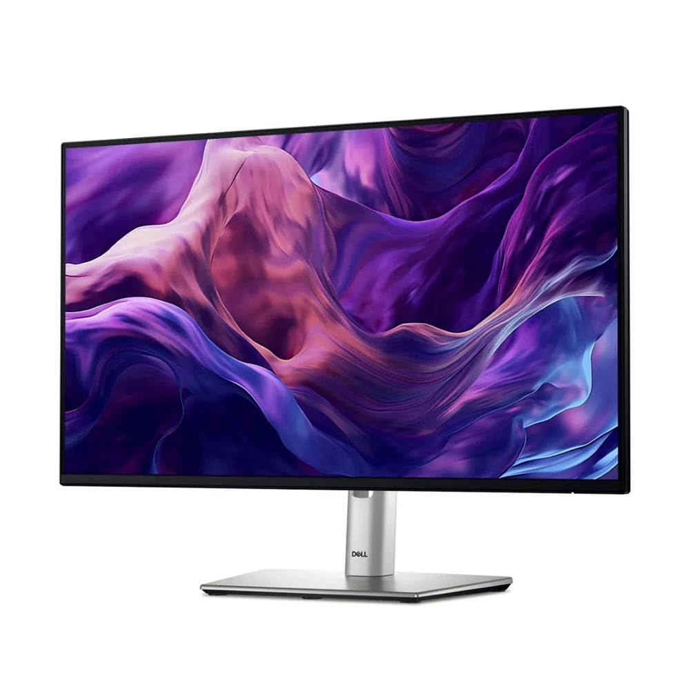 Monitor Dell P2425H 24 pulgadas 1920 x 1080 píxeles Full HD