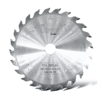 Disco Diamantado para Madera The Strong Poland 200 milímetros x 24 dientes