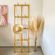 imageUrl_1
