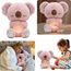 imageUrl_1