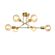 imageUrl_7